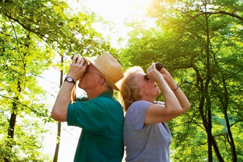 Complete Guide Best Time For Bird Watching For All Seasons