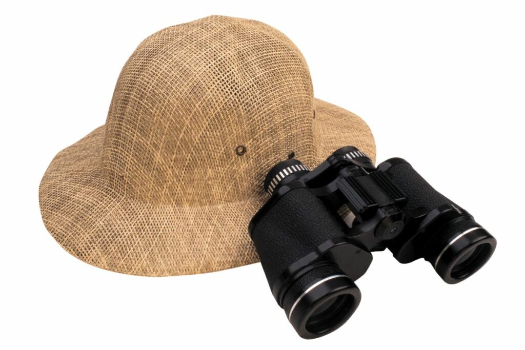 Bushnell binoculars review