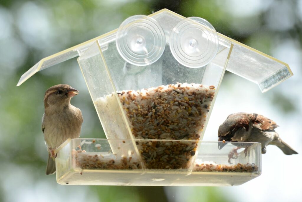 Our Top Window Bird Feeders