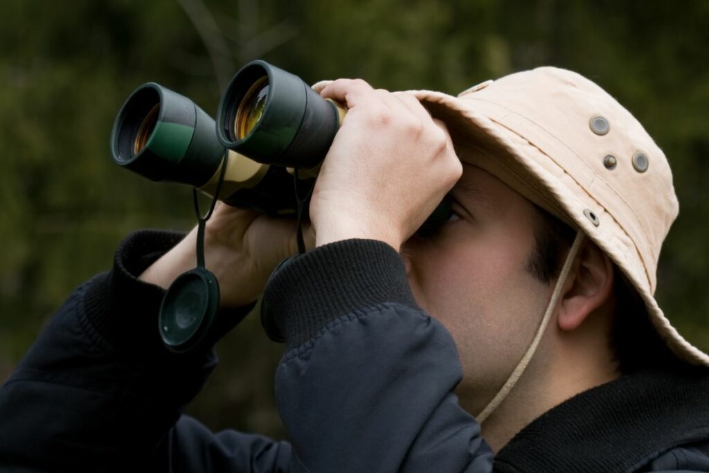 Best 10 X 42 Binoculars For Bird Watching