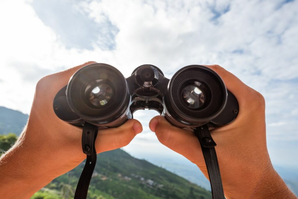 Are 12 X 50 Binoculars Good For Bird Watching?